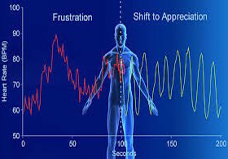 curs gestio estres hvr